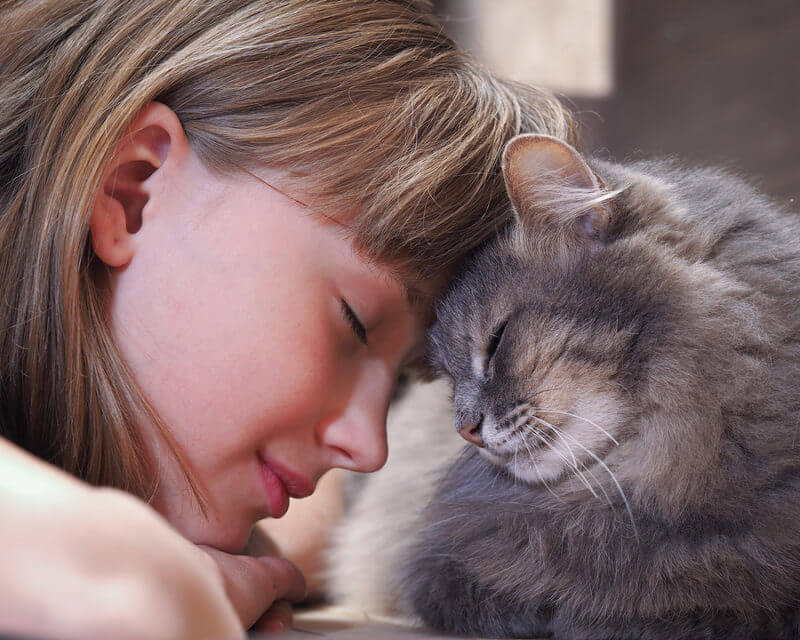 Cat and girl nose to nose: autism dream job