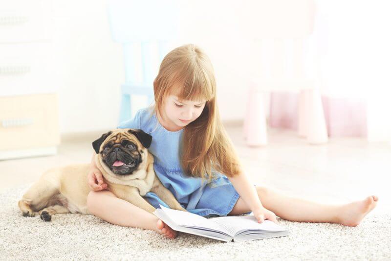 reading to dogs helps kids with autism, young girl reading to small pug