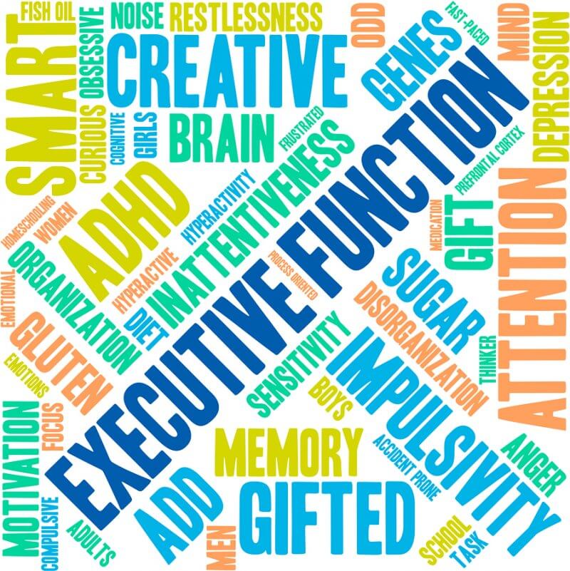 Executive Function Word Cloud